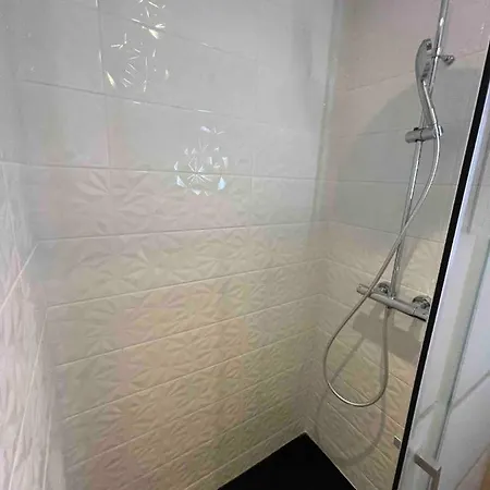 Le Jardin Niortais - Hyper Centre- Proche Gare - Paisible - Grand Jardin Prive, Wifi Hd -netflix *